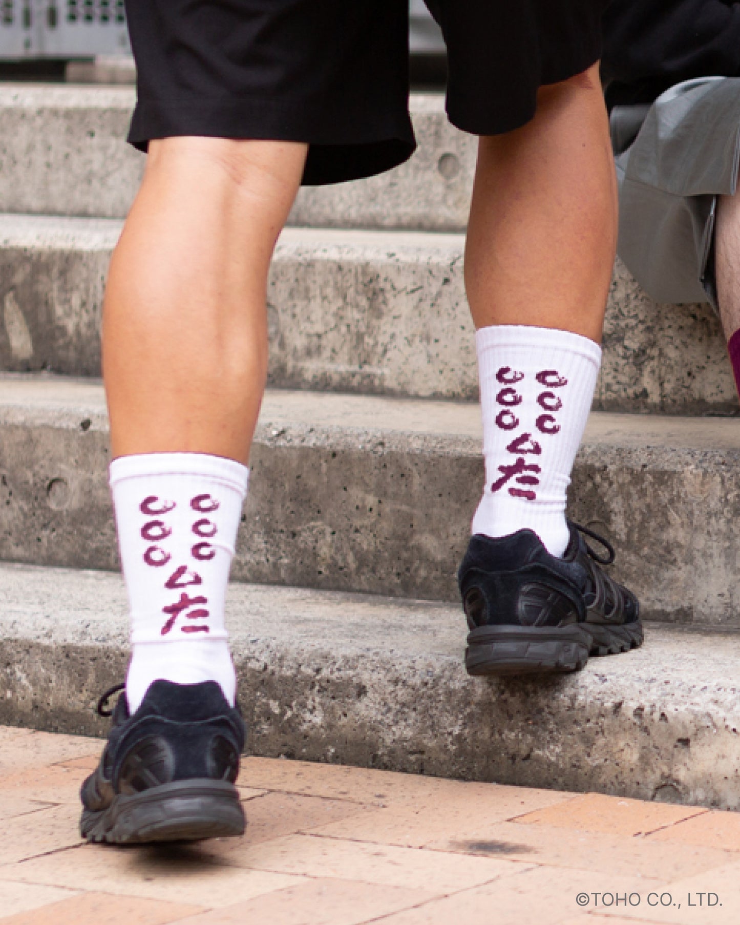 『七人の侍』× FCW 旗ソックス ホワイト