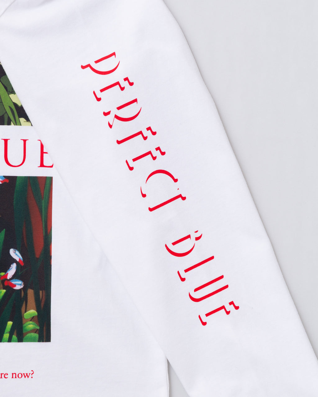 【再販】『PERFECT BLUE』× FCW 未麻ロンT