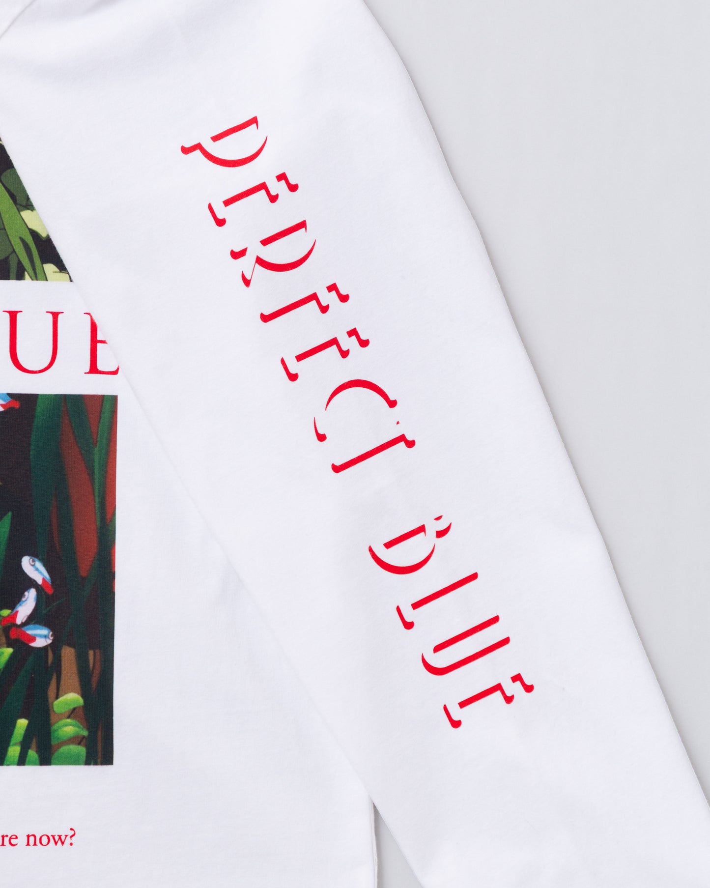 『PERFECT BLUE』× FCW 未麻ロンT