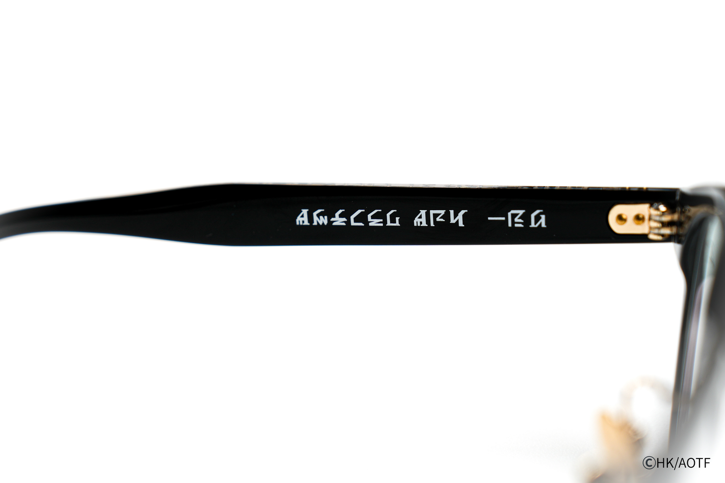 TVアニメ『進撃の巨人』コラボレーションアイウェア 【エレン・イェーガー】モデル