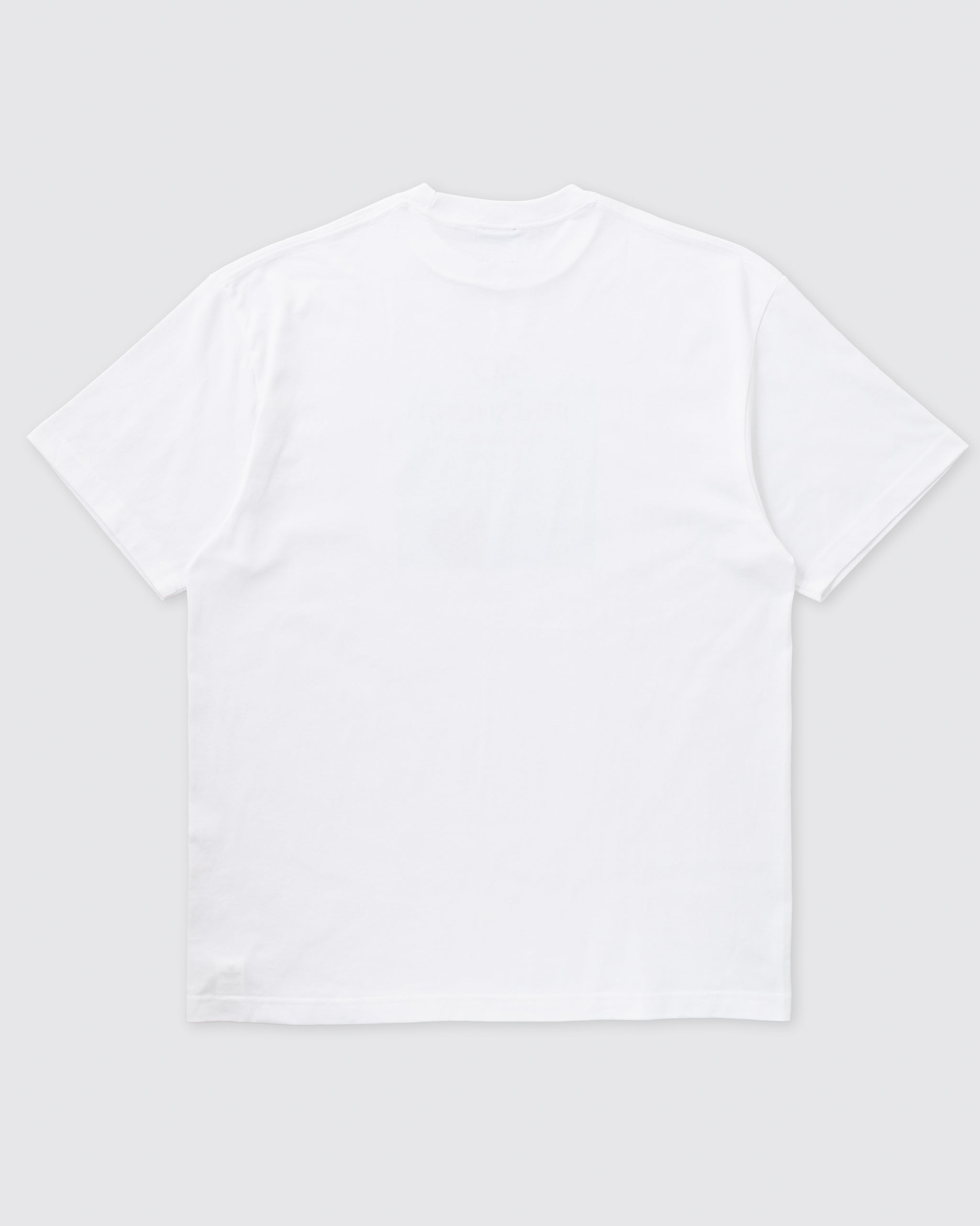 ＜IWAI SHUNJI The Film Works＞30th Anniversary Tシャツ WHITE
