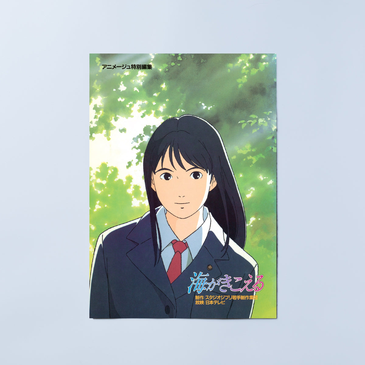 アニメージュ】1991年12冊セット 小説 海がきこえる 激レア 