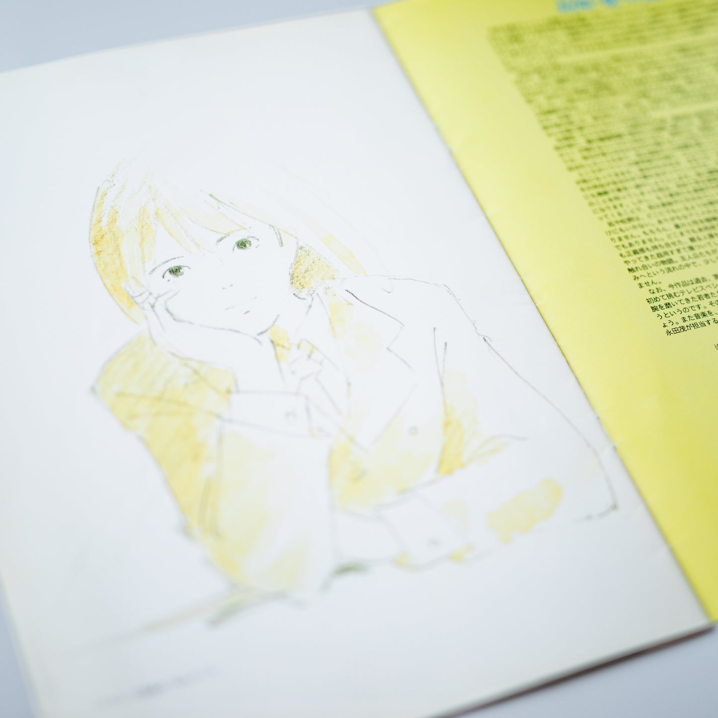 『海がきこえる』復刻パンフレット
